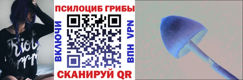 Купить где  Боровск  Псилоцибиновые грибы Magic Shrooms 